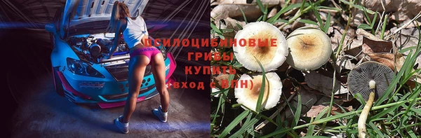 не бодяженный Аркадак