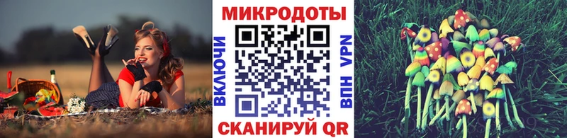 Галлюциногенные грибы Cubensis магазин продажи Павловская